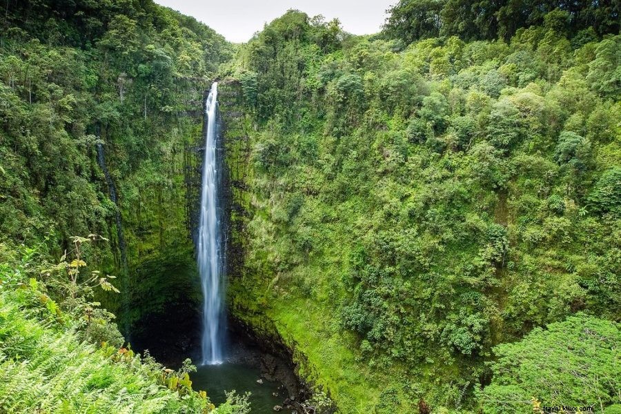 10 Best Things to Do on Hawaii s Big Island: Expert 5-Day Travel Itinerary