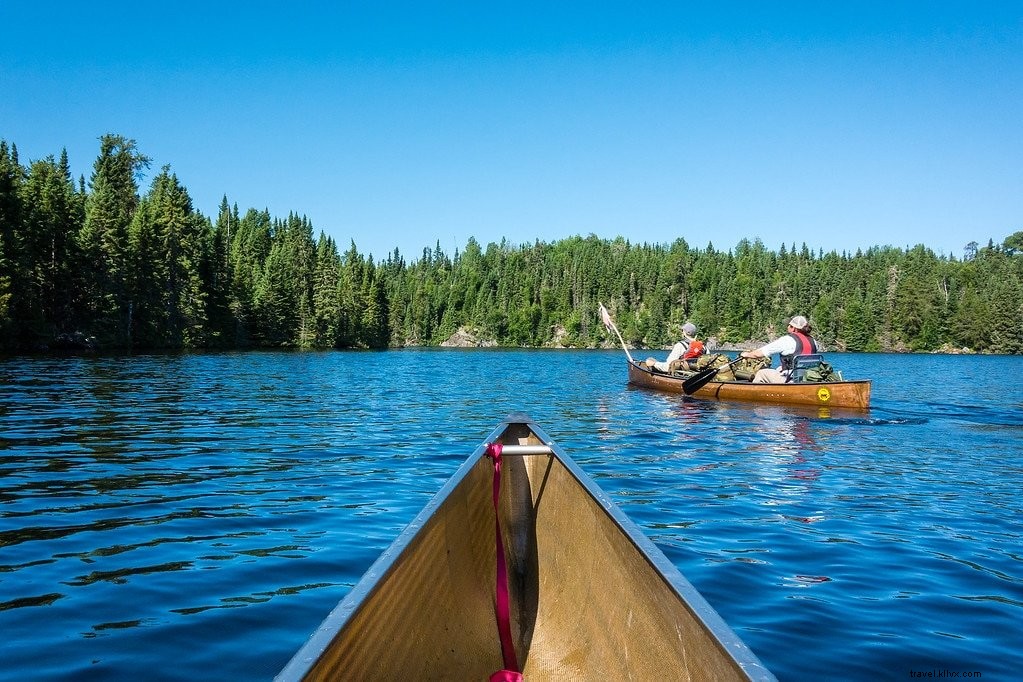 Explore the Boundary Waters Canoe Area: A Tranquil Paddle Adventure