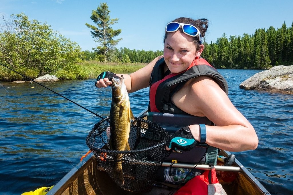 Explore the Boundary Waters Canoe Area: A Tranquil Paddle Adventure