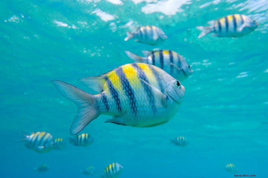 15 Best Things to Do in Mexico s Yucatán Peninsula: Ultimate Travel Guide