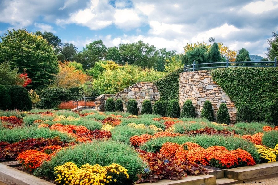 Explore Asheville, NC: The Coolest Small City on the East Coast and Your Ultimate Activity Guide