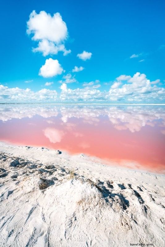 Discover Las Coloradas: Mexico s Spectacular Pink Salt Lakes