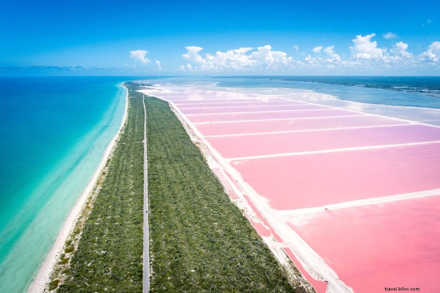 Discover Las Coloradas: Mexico s Spectacular Pink Salt Lakes