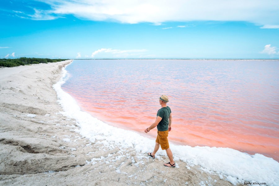 Discover Las Coloradas: Mexico s Spectacular Pink Salt Lakes