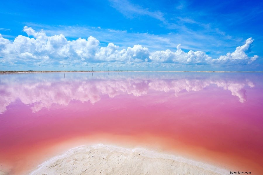 Discover Las Coloradas: Mexico s Spectacular Pink Salt Lakes