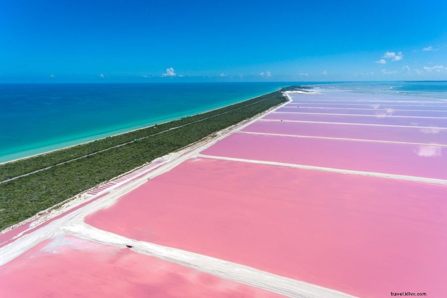 Discover Las Coloradas: Mexico s Spectacular Pink Salt Lakes