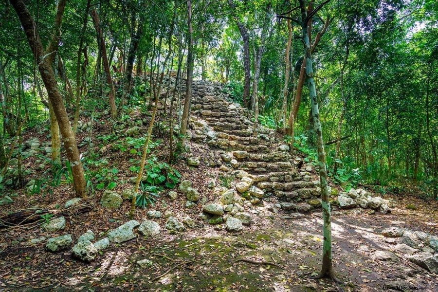 Climbing Nohoch Mul Pyramid at Coba: Ultimate Guide to the Ancient Mayan Ruins