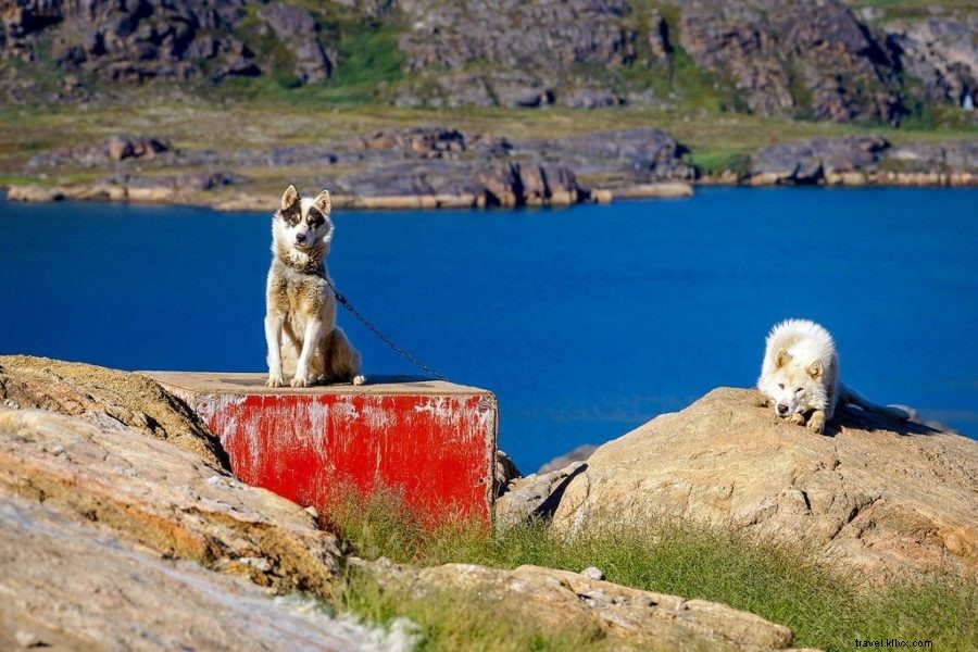Arctic Circle Trail Greenland Part 4: Days 9-10 Descent to Sisimiut