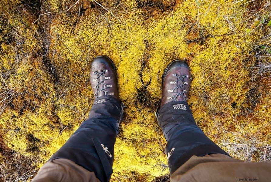 Trekking Greenland s Arctic Circle Trail: Part 2 – Days 4-6 Adventure Guide