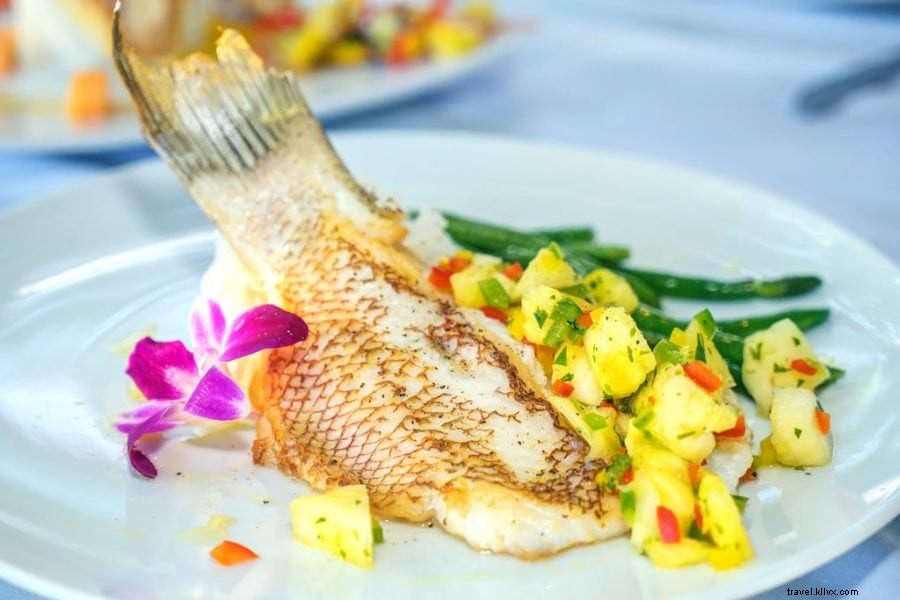 Miami to Key West Road Trip: Ultimate Guide to the Florida Keys