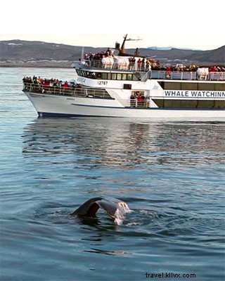 Discover Iceland’s Ring Road: The Ultimate Epic Road Trip Guide