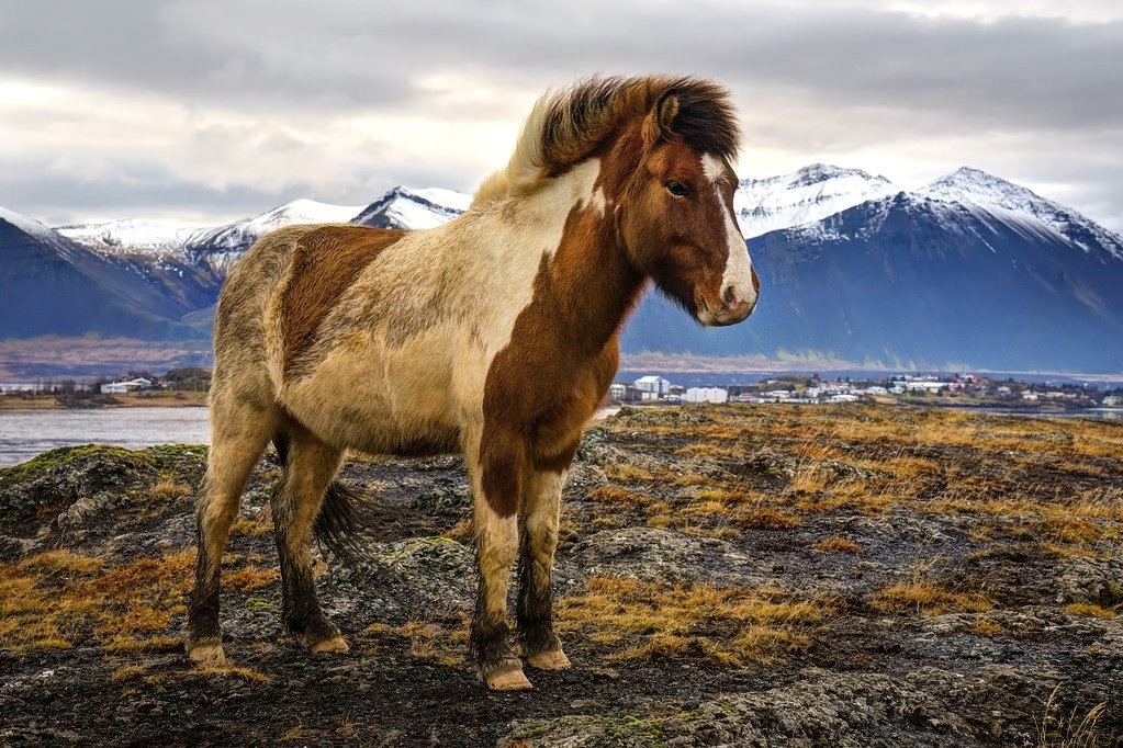 25 Stunning Iceland Photography Locations: A Pro Photographer s Guide