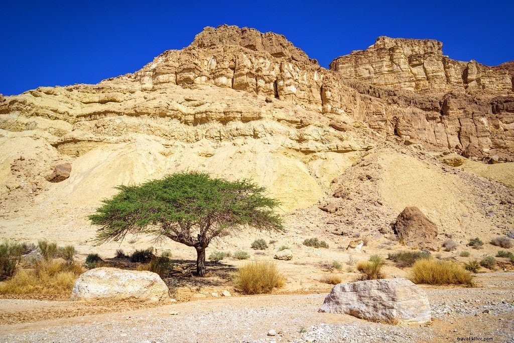 Hiking Israel s National Trail: An Epic Journey Through the Holy Land