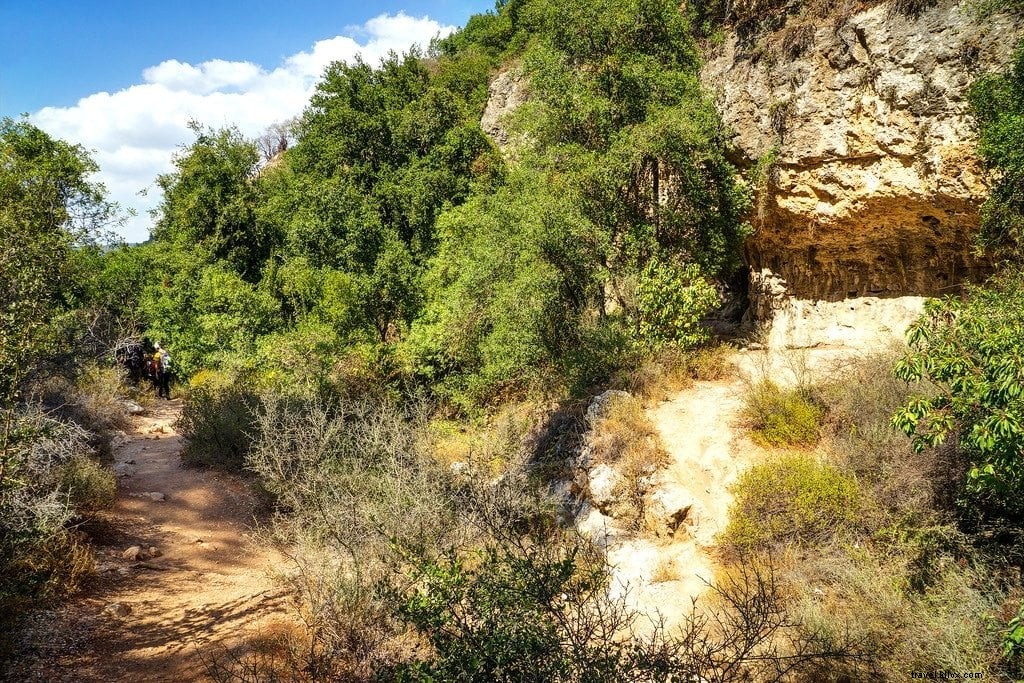 Hiking Israel s National Trail: An Epic Journey Through the Holy Land