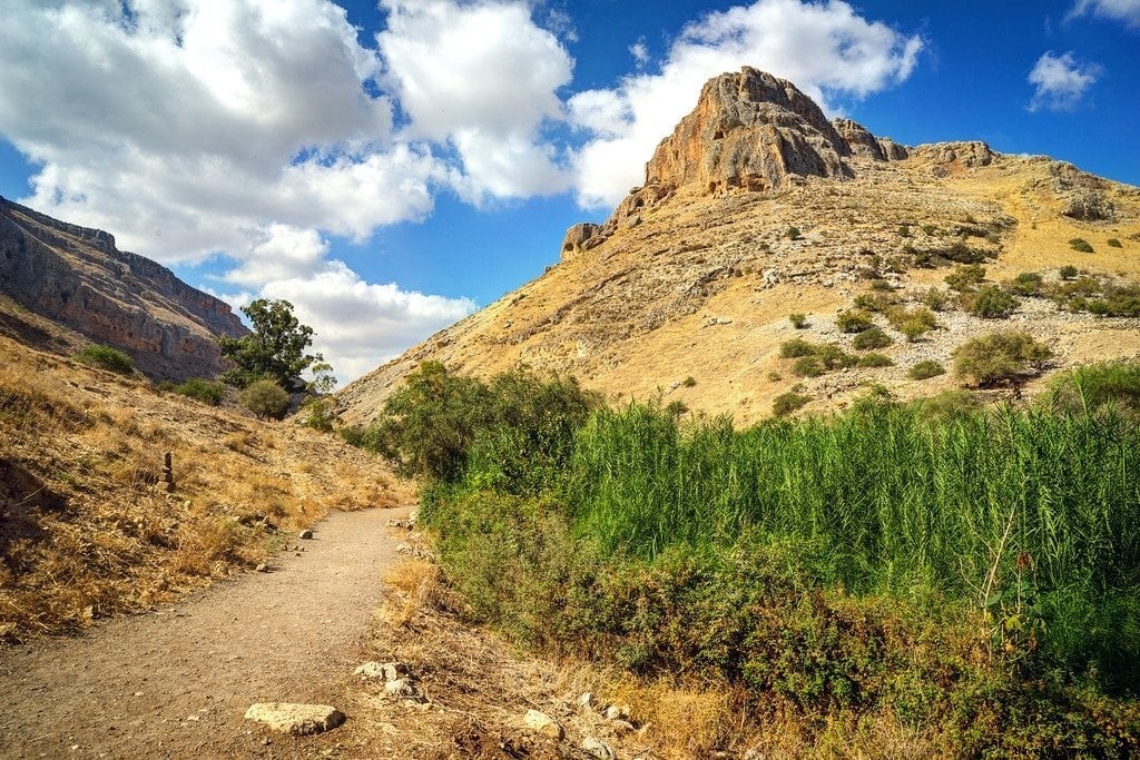 Hiking Israel s National Trail: An Epic Journey Through the Holy Land