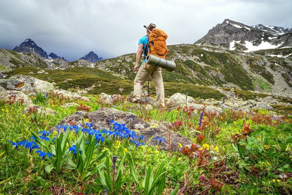 Kackar Mountains Trek: Discover Turkey s Wildflower & Glacial Beauty