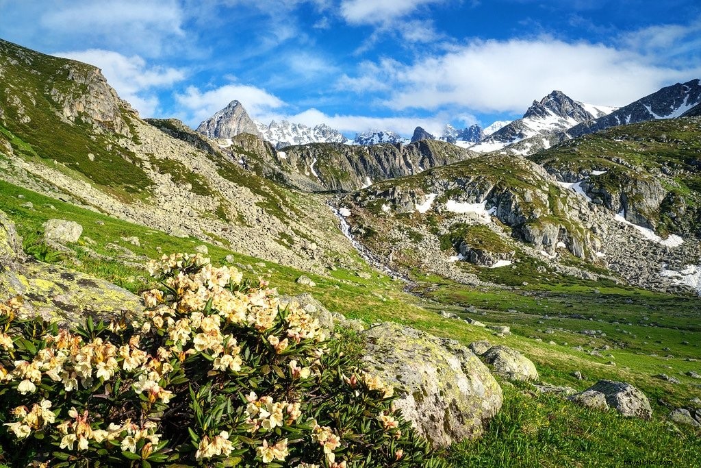 Kackar Mountains Trek: Discover Turkey s Wildflower & Glacial Beauty