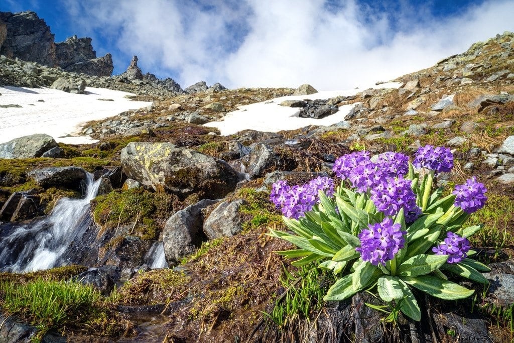 Kackar Mountains Trek: Discover Turkey s Wildflower & Glacial Beauty