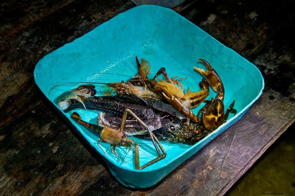 Exploring the Wild Darién Gap: Hiking Panama s Untamed Jungle Wilderness