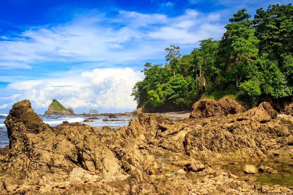 Hiking Corcovado National Park: An Epic Wildlife Adventure in Costa Rica