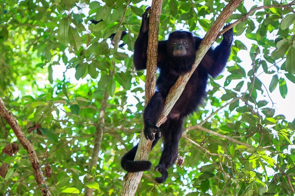 Ultimate Yucatan Peninsula Travel Guide: Budget Tips, Costs & Must-See Attractions