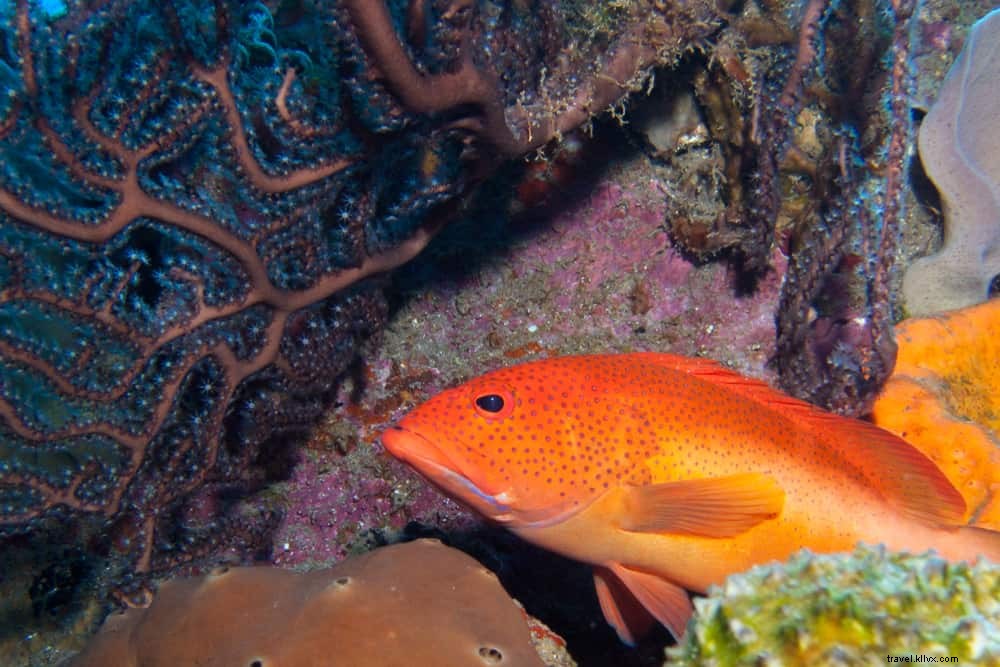 Top 15 Stunning Places to Visit in Bonaire, Saba, and St. Eustatius