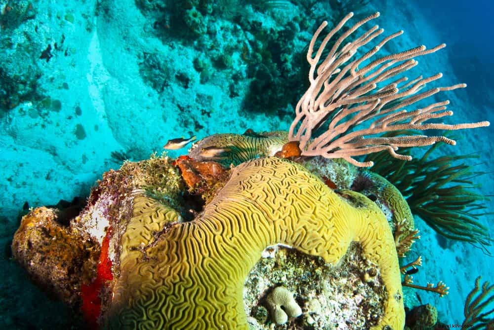 15 Most Stunning Places to Visit in St. Barts: The Ultimate Guide