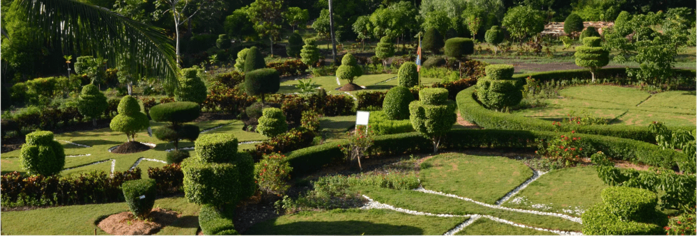 15 Most Stunning Places to Visit in Haiti: Beaches, Waterfalls, and Historic Wonders