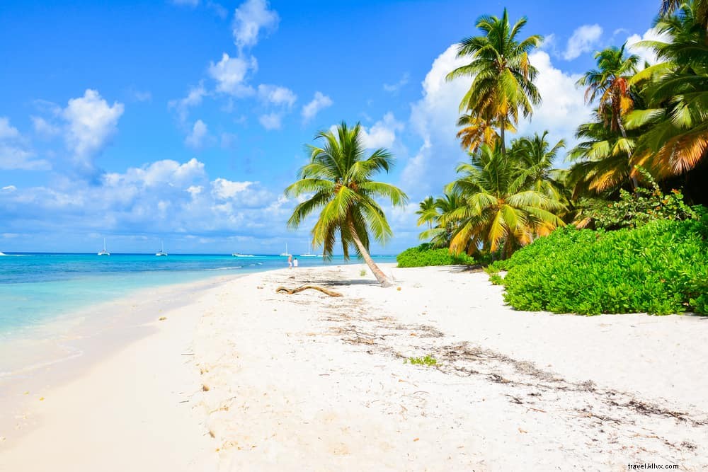 15 Most Stunning Places to Visit in Haiti: Beaches, Waterfalls, and Historic Wonders