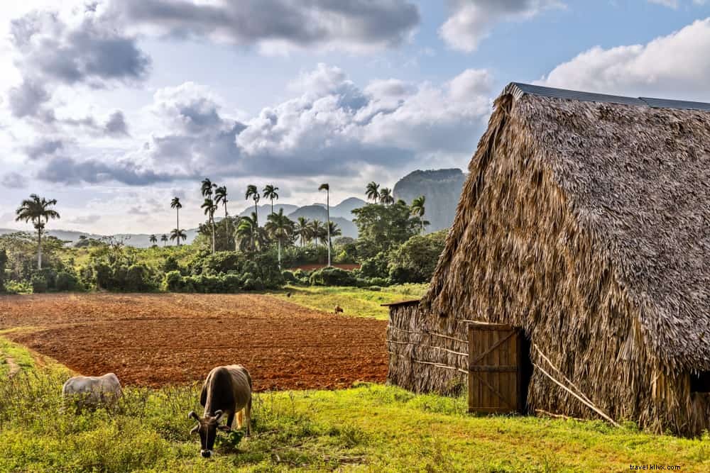 Discover Cuba’s 20 Must-Visit Scenic Gems