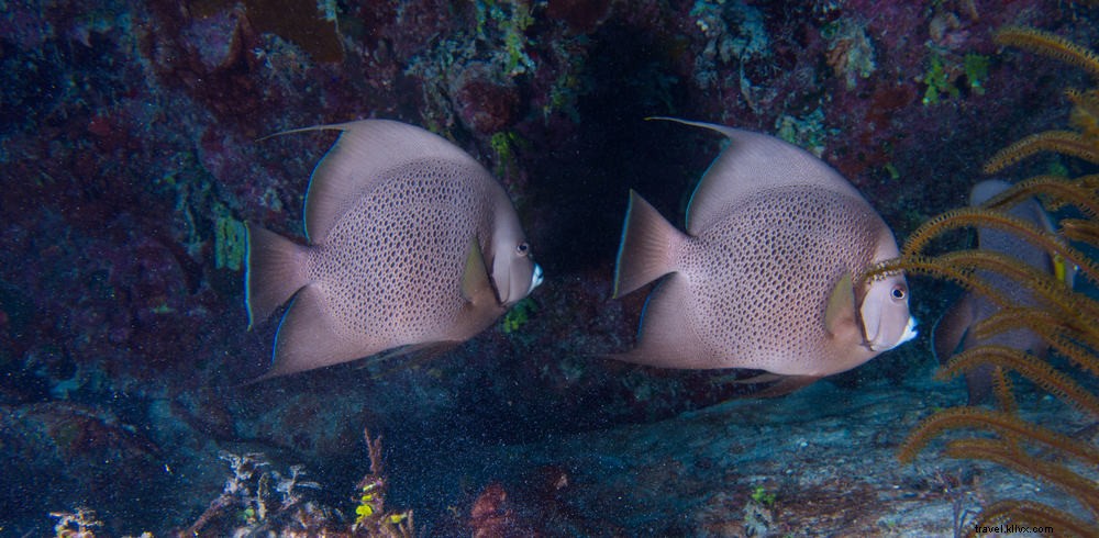 Discover Cuba’s 20 Must-Visit Scenic Gems