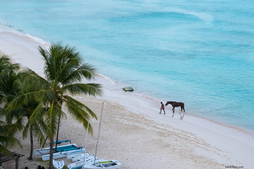 Top 15 Stunning Beaches in Barbados: The Ultimate Guide for Travelers
