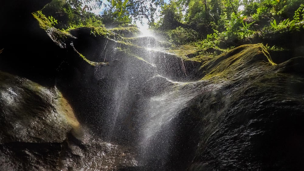 16 Stunning Places to Visit in Dominica: Discover the Nature Island