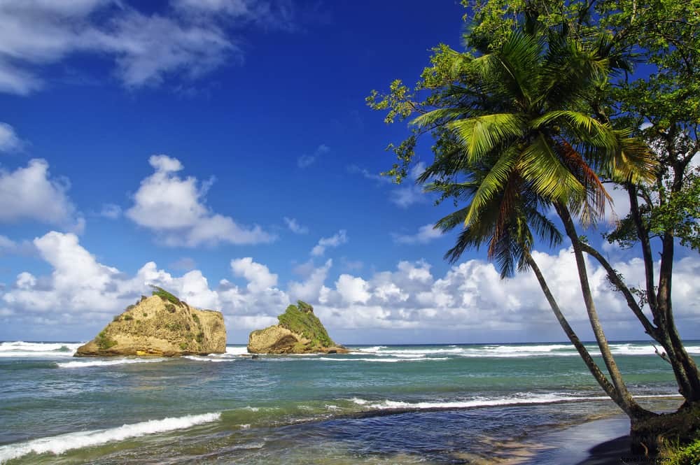 16 Stunning Places to Visit in Dominica: Discover the Nature Island