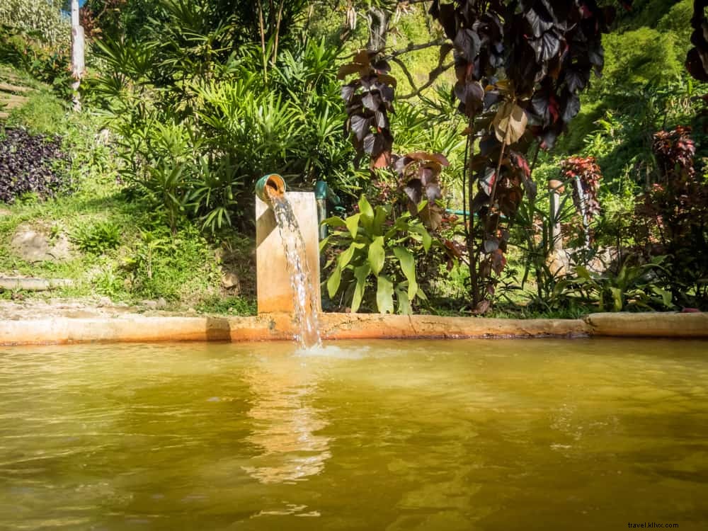 16 Stunning Places to Visit in Dominica: Discover the Nature Island