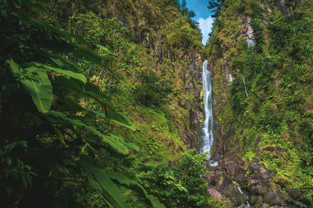 16 Stunning Places to Visit in Dominica: Discover the Nature Island