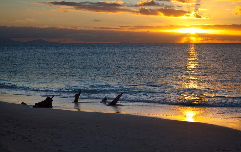 Top 10 Stunning Places to Visit in Montserrat: Beaches, Volcanoes, and Hidden Gems