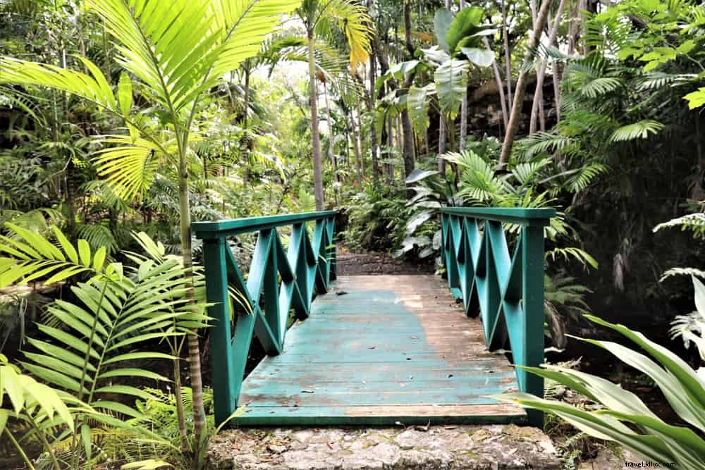 15 Stunning Places to Visit in the Bahamas: Beaches, Wildlife, and Hidden Gems