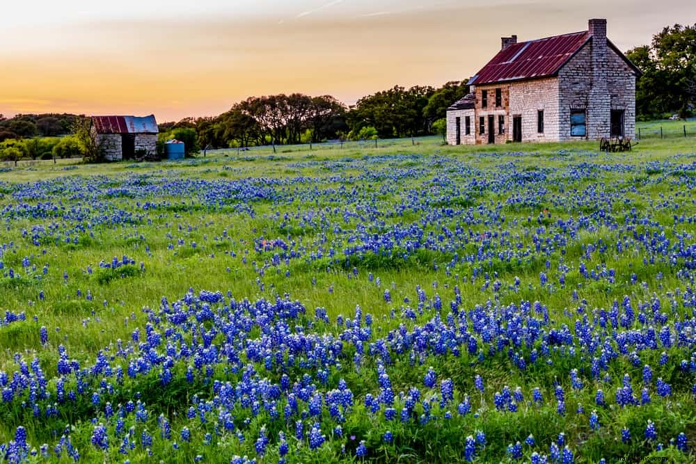 26 Best Places to Visit in the USA in April: Top Spring Destinations