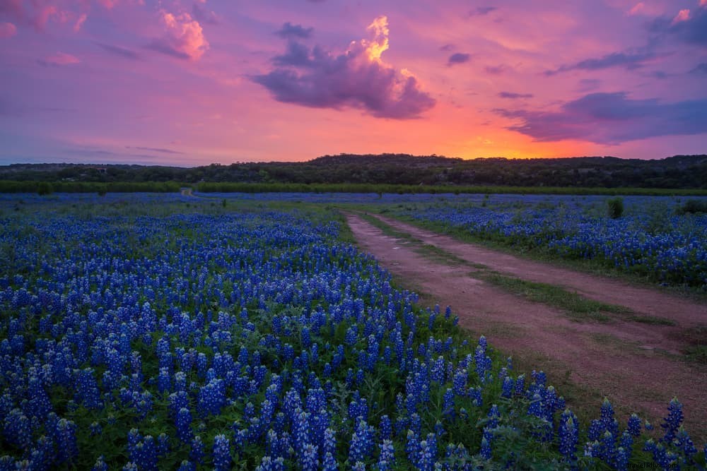 26 Best Places to Visit in the USA in April: Top Spring Destinations