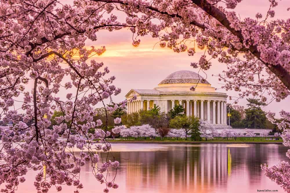 26 Best Places to Visit in the USA in April: Top Spring Destinations