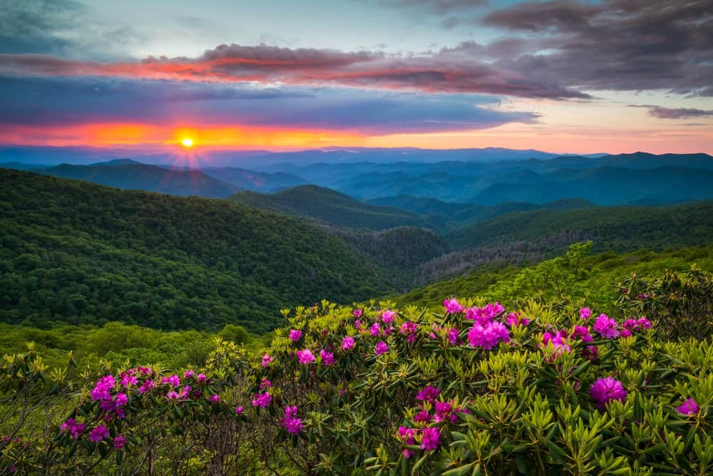 26 Best Places to Visit in the USA in April: Top Spring Destinations