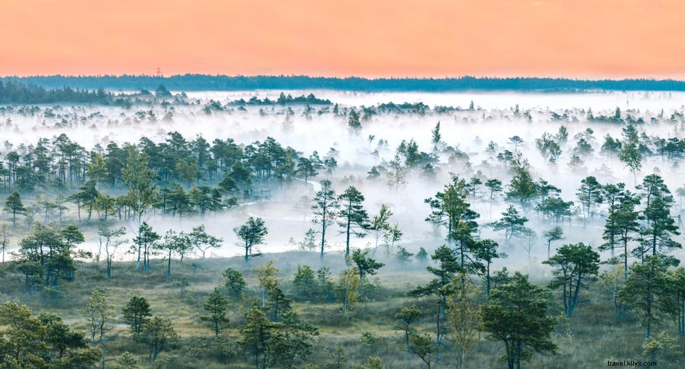 Discover 12 Stunning Places to Visit in Latvia: A Local Guide s Top Picks