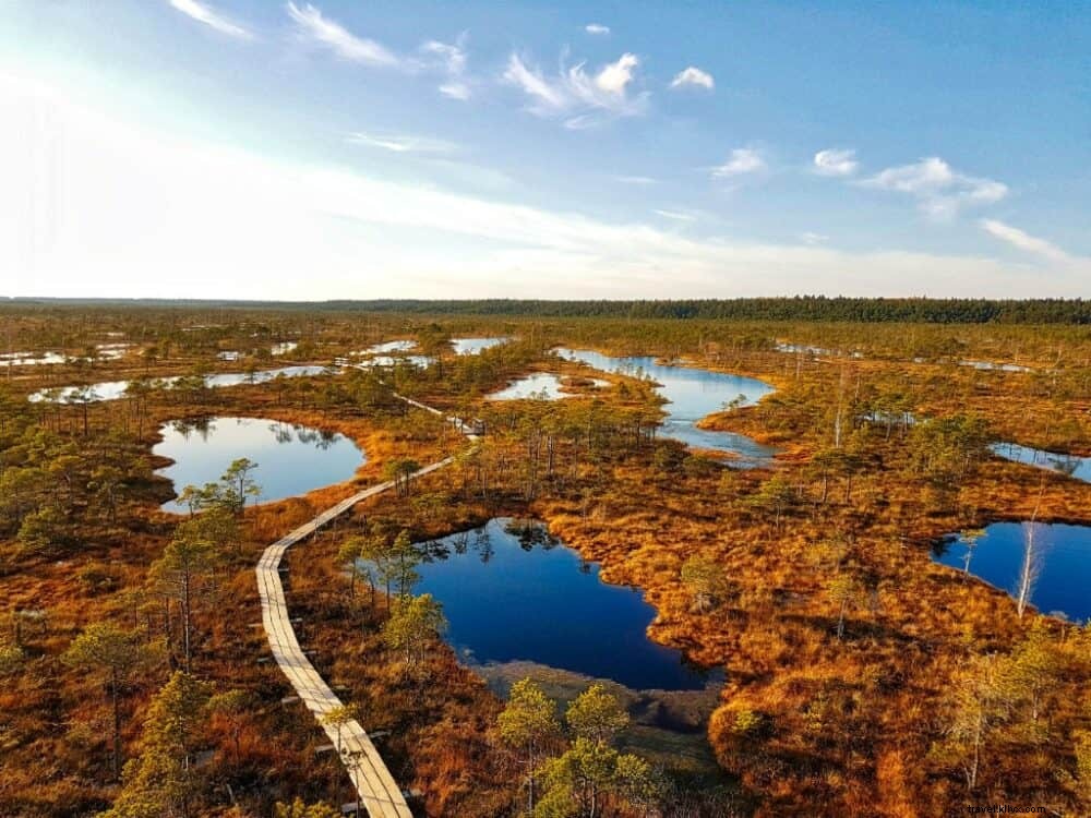 Discover 12 Stunning Places to Visit in Latvia: A Local Guide s Top Picks