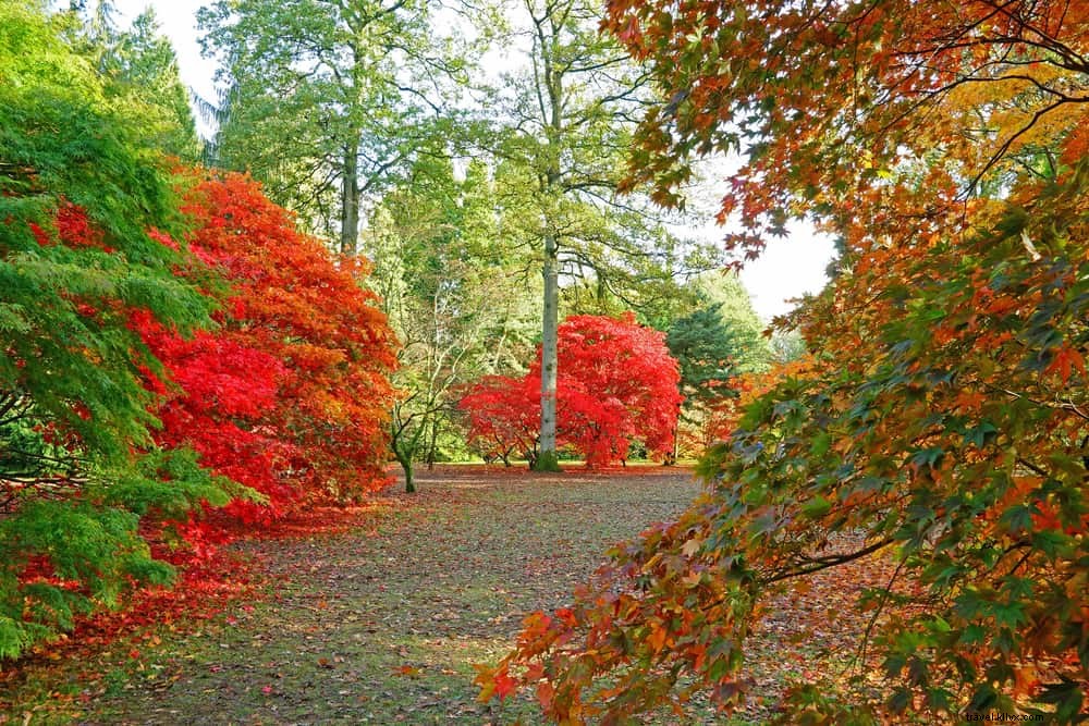 19 Stunning Places to Visit in the Cotswolds: England s Quintessential Countryside Gems