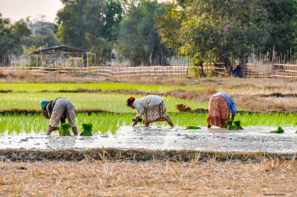 20 Most Stunning Places to Visit in Laos: A Traveler s Guide