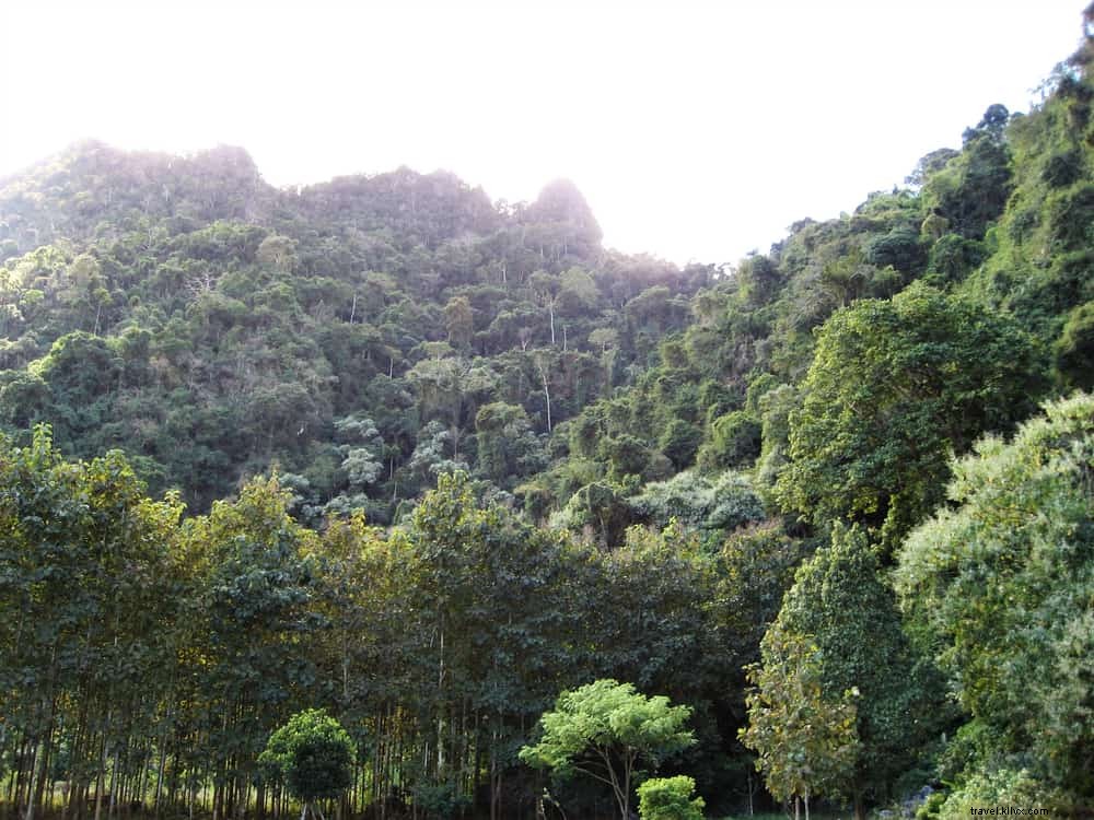 20 Most Stunning Places to Visit in Laos: A Traveler s Guide