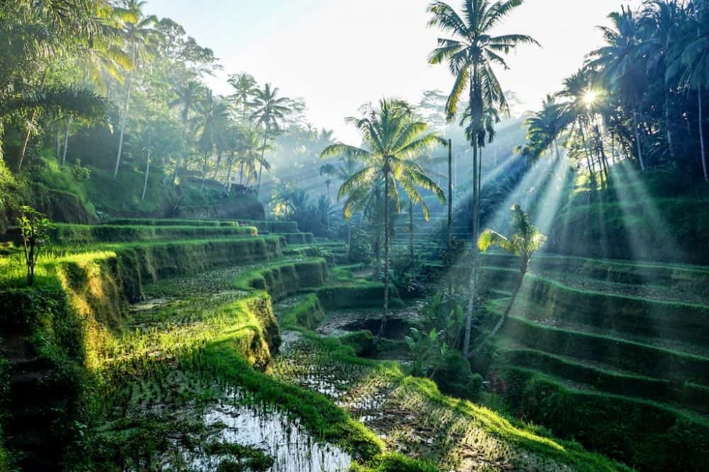 20 Stunning Places to Visit in Indonesia: Beaches, Volcanoes, and Hidden Gems