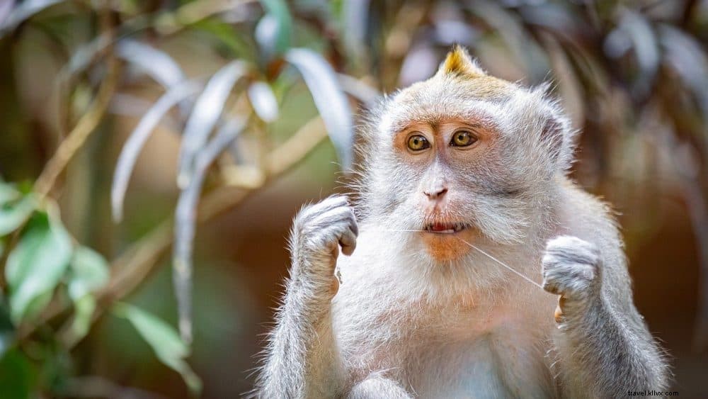 20 Stunning Places to Visit in Indonesia: Beaches, Volcanoes, and Hidden Gems