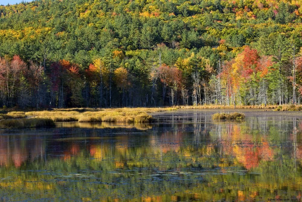 15 Most Beautiful Places to Visit in New Hampshire: Scenic Wonders Await